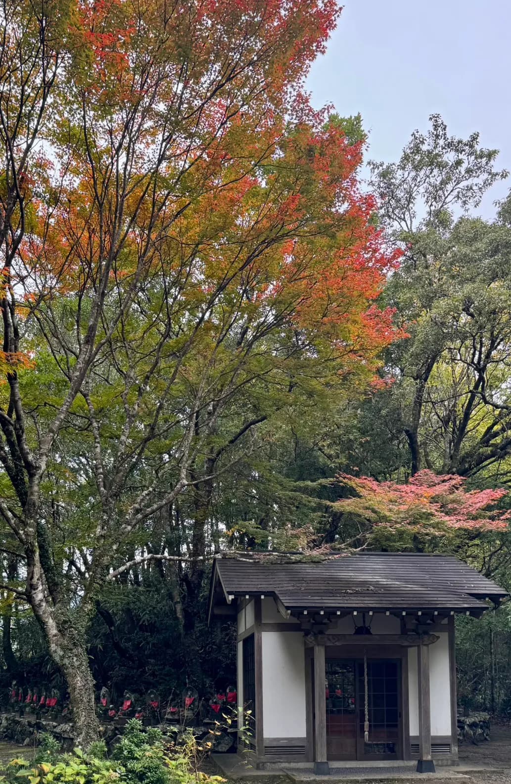 紅葉に包まれた観音山の祠